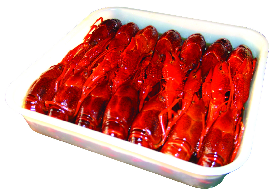 探尋江蘇南通特色水產品 茴香整肢龍蝦與清水整蝦