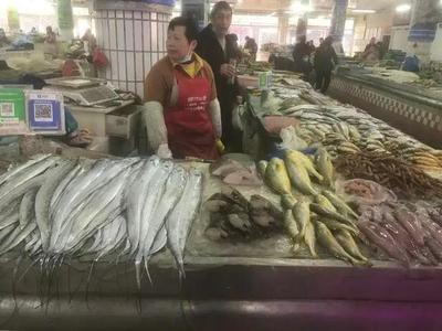 浙江水產(chǎn)市場(chǎng)現(xiàn)“黃金海鮮” 一斤飆至五百元，朋友圈里的價(jià)格驚嘆號(hào)