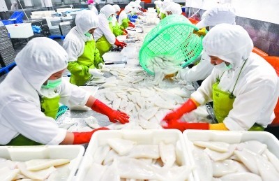 福建晉江水產(chǎn)加工出口快速增長(zhǎng)，加工貿(mào)易成發(fā)展新引擎