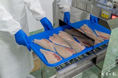 開辟“預(yù)制菜”新賽道，大黃魚游向水產(chǎn)品市場(chǎng)藍(lán)海