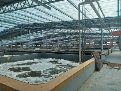 缺蝦百萬噸，產(chǎn)業(yè)迎變革 工廠化養(yǎng)蝦面積將破千萬平米，第二屆中國工廠化養(yǎng)蝦大會(huì)8月啟幕